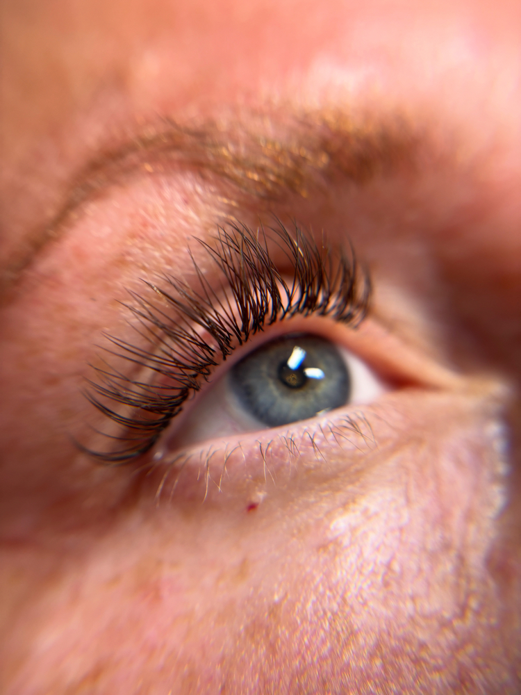 Holiday Lash Special