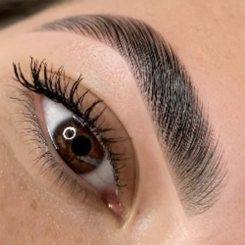 Brow Tint Only at Tranquil Beauty in Iron Mountain, MI