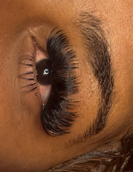 Bottom Lashes