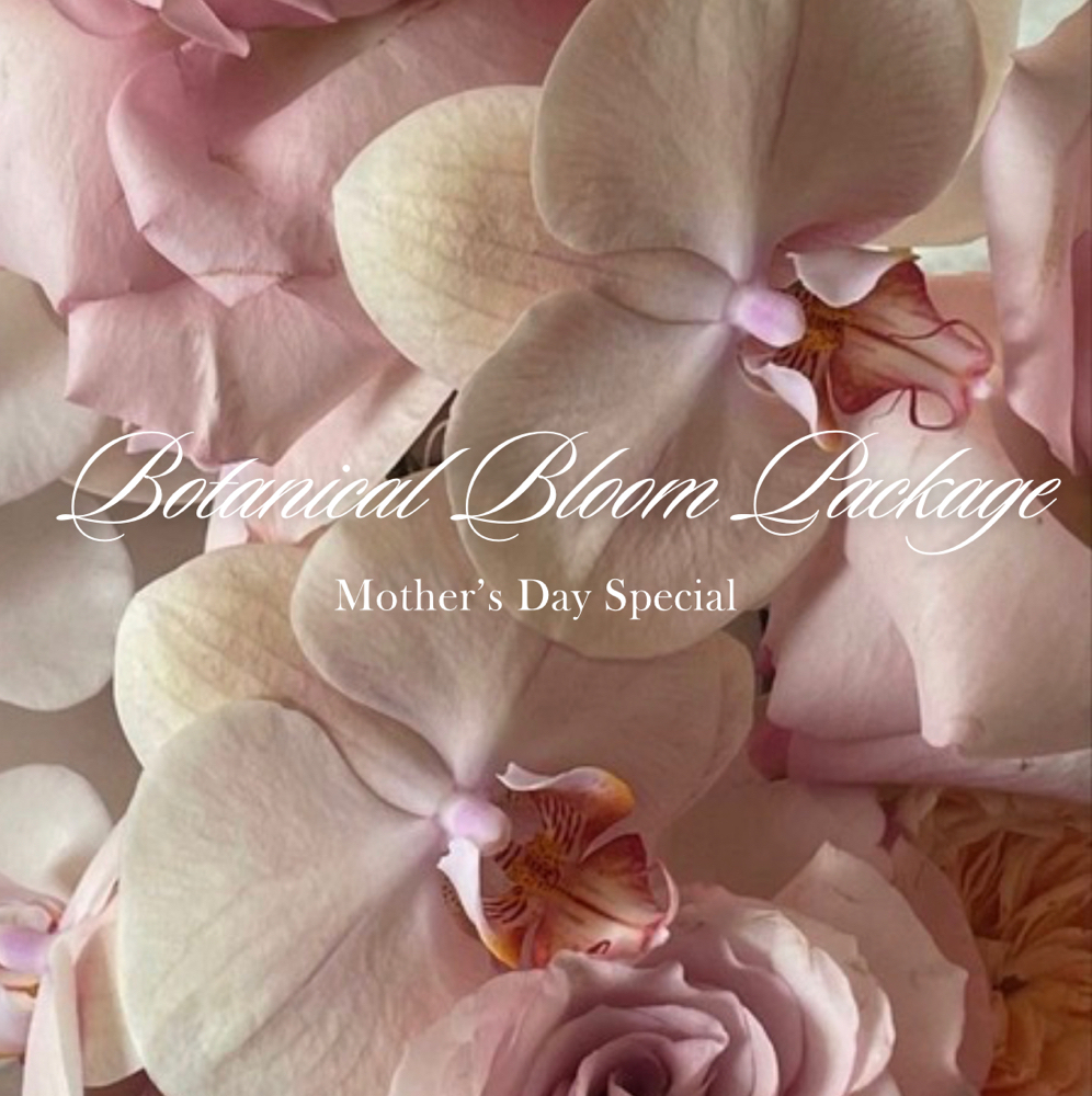 Botanical Bloom Package