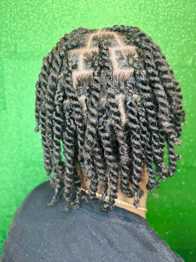 Two Strand Twist