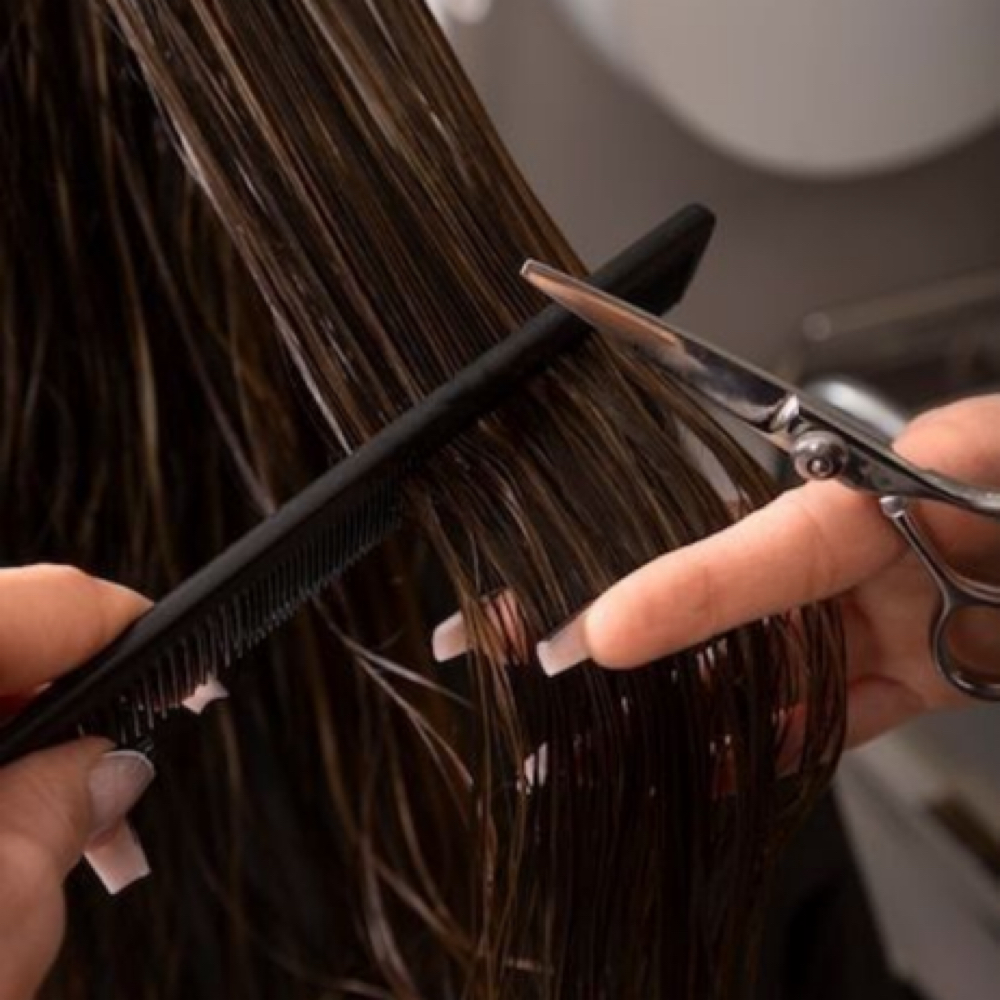 Haircut at Cescily Rodrigues in Fairfield, CA