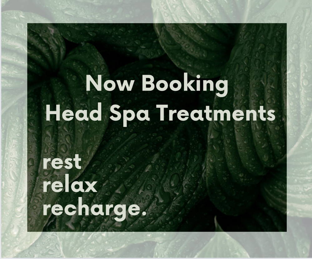 Head Spa Treatment And Mini Facial