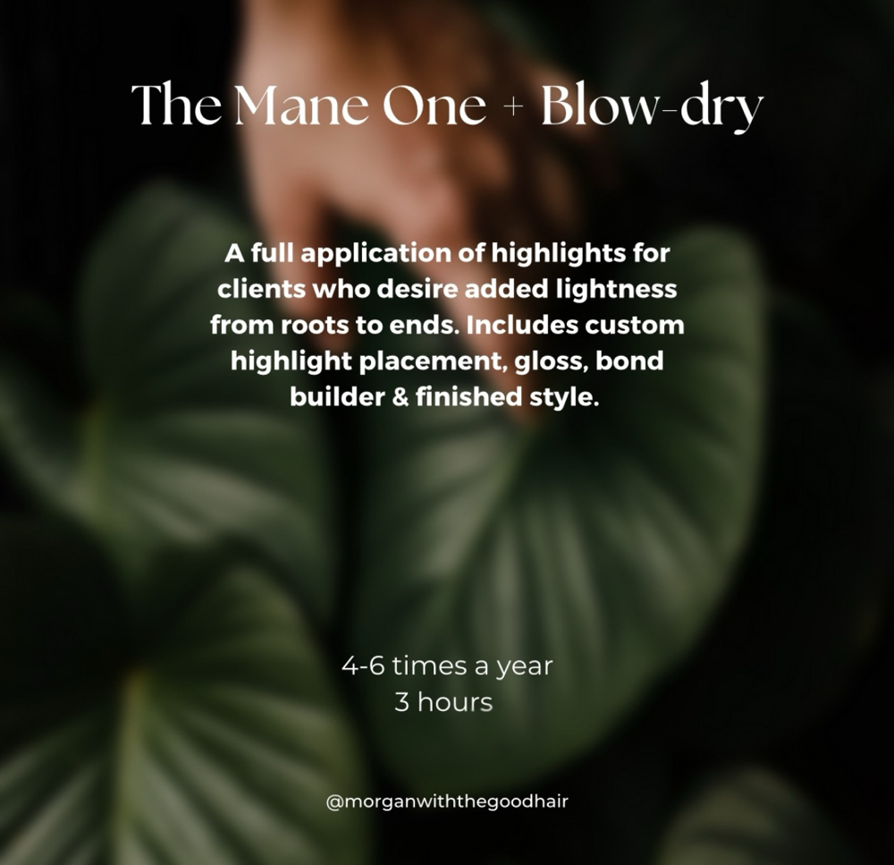 The Mane One + Blow-dry