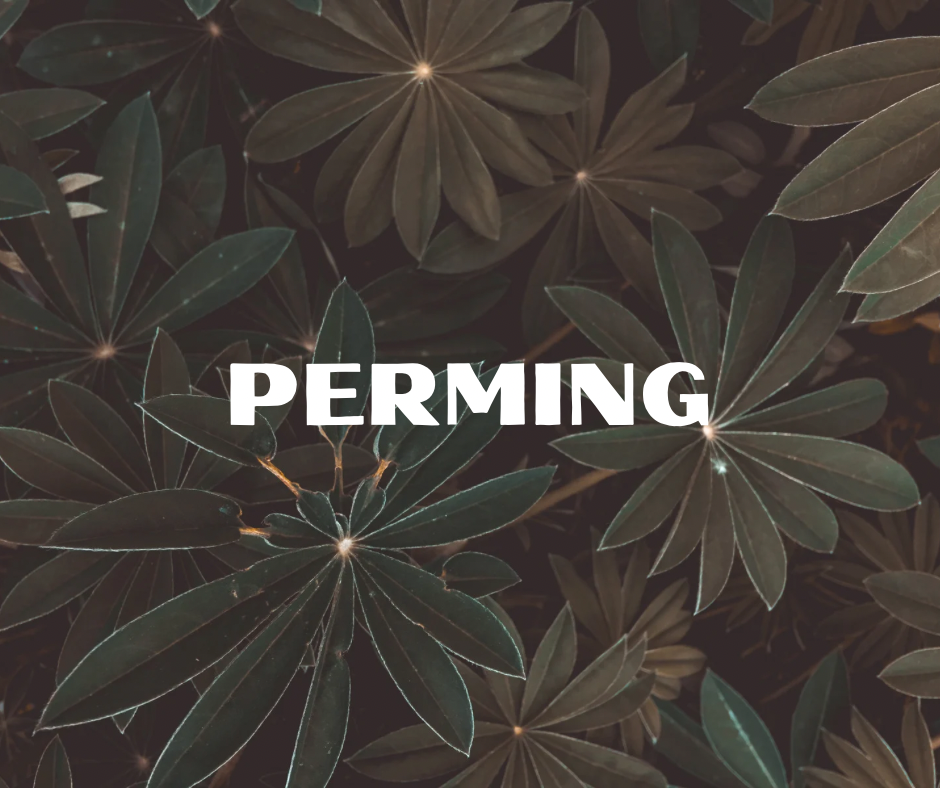 Existing Client Perm