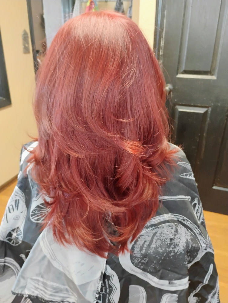 All Over Color Long Hair