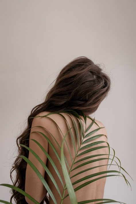 The Flightfeather Light (Back)