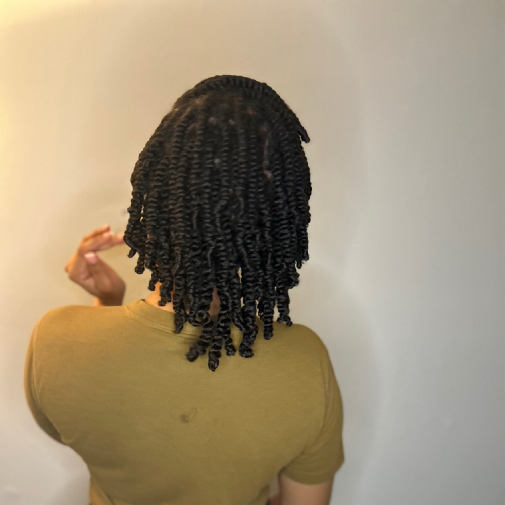 Two Strand Twist at HDE Hair Studio in Virginia Beach, VA