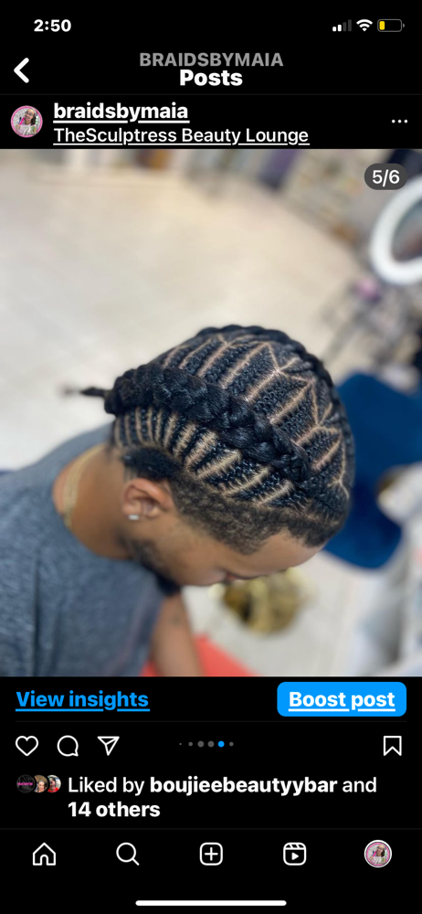 Fishbone Braids