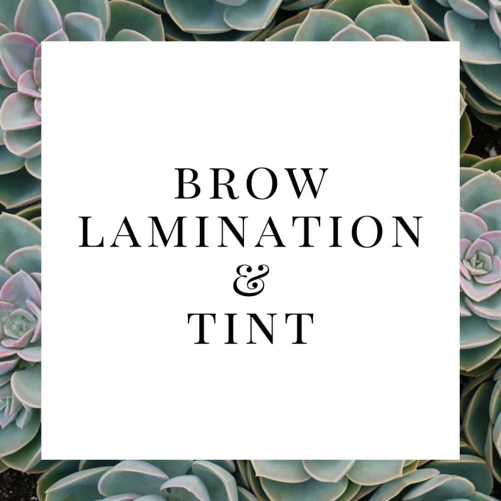 Brow Lamination