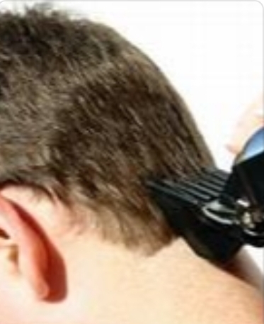 Clipper Cut Only
