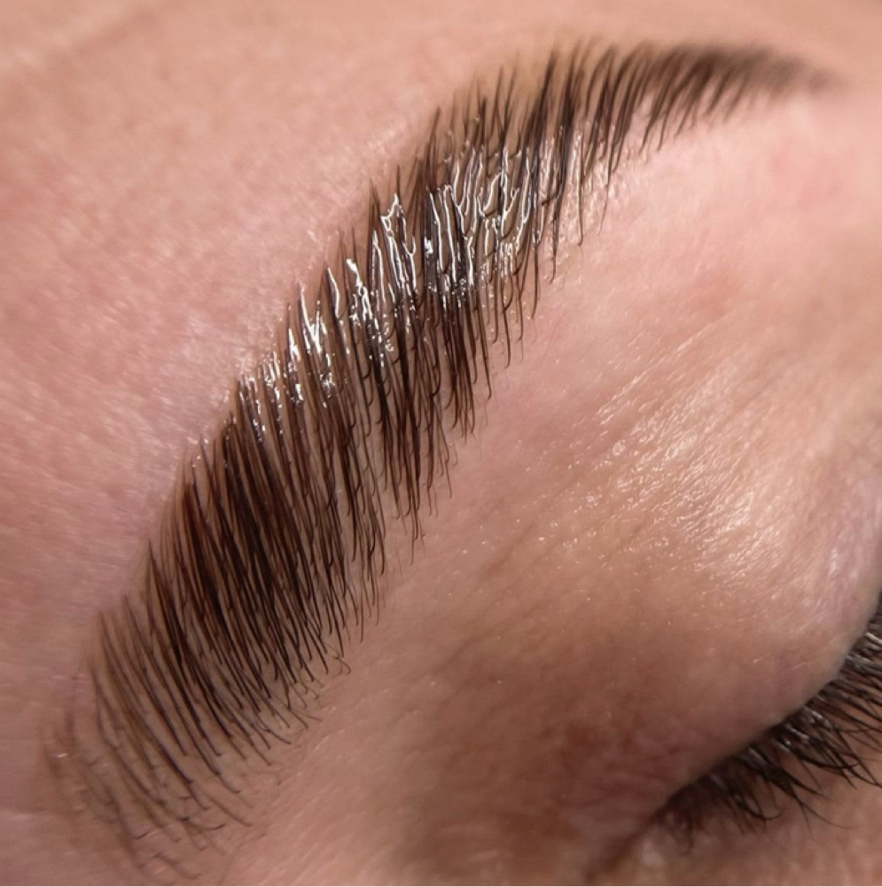 Natural Brow Lamintaion + Tint at Salt Skin Studio in Bentonville, AR