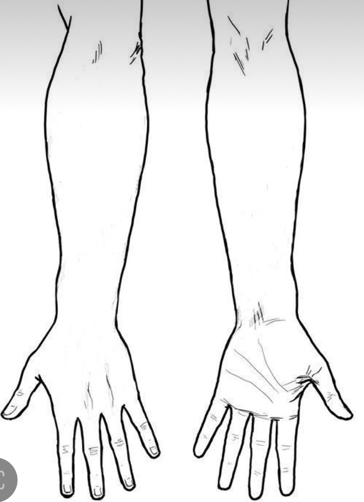 Arm (Half)