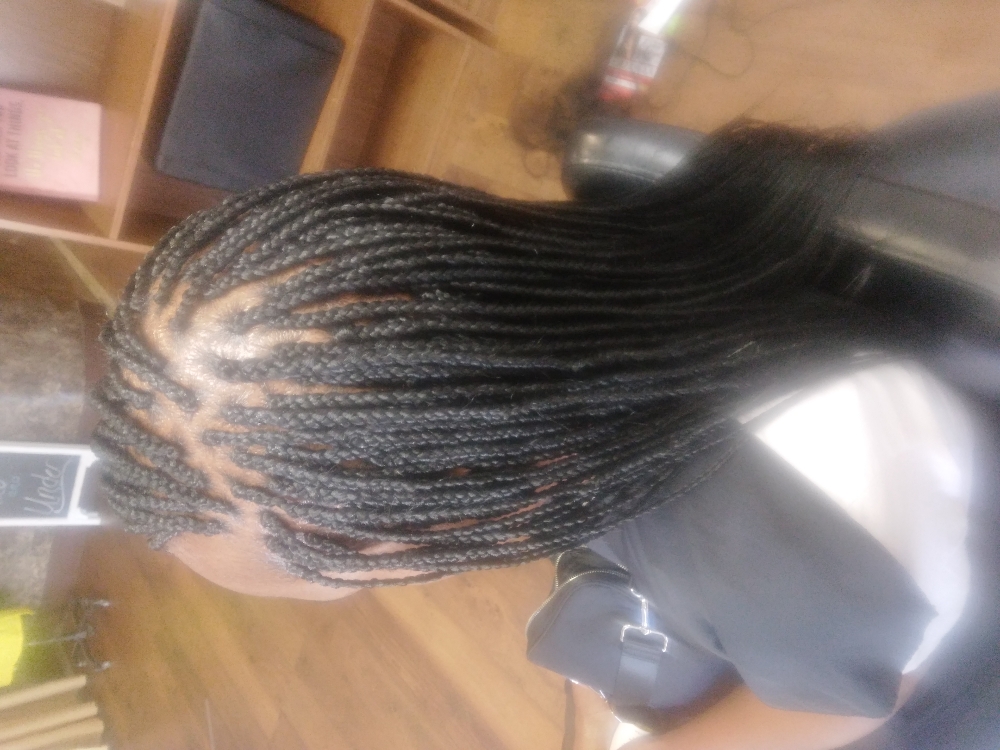 Small Box Braids