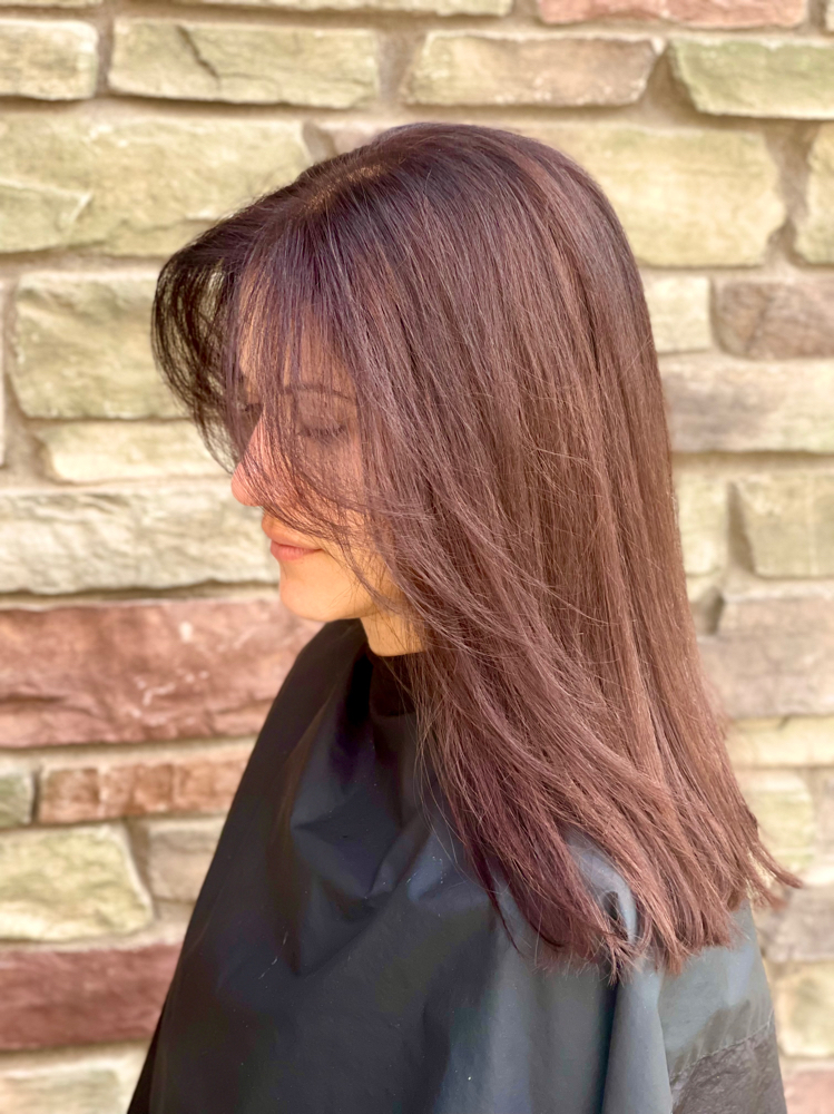 🖤 The Root Refresh