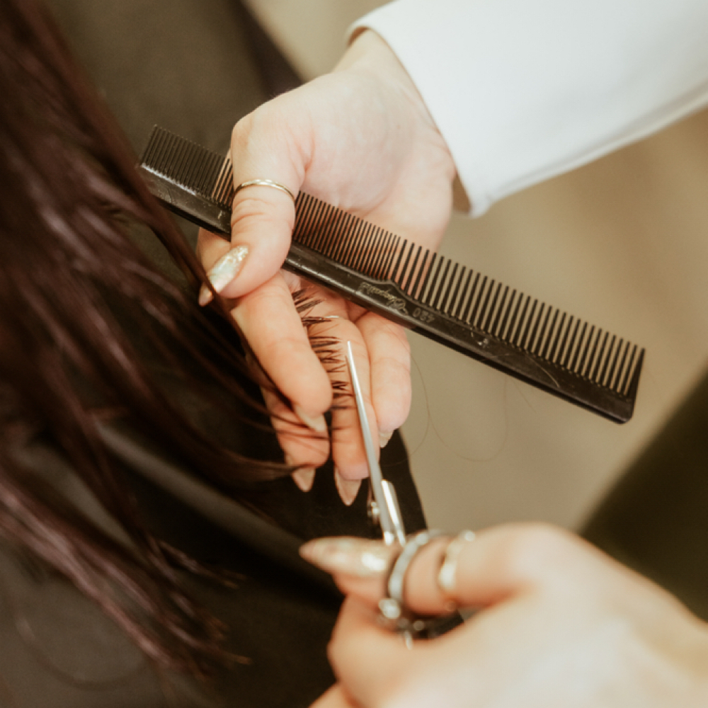 New Client Haircut+Color Consult at Niche Hair Collective in Manitowoc, WI