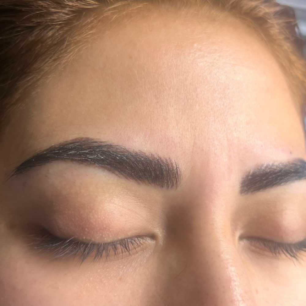 Nano Hairstroke Retouch (4–6 Weeks) at Nina Beauty&Brows Studio in North Hollywood, CA