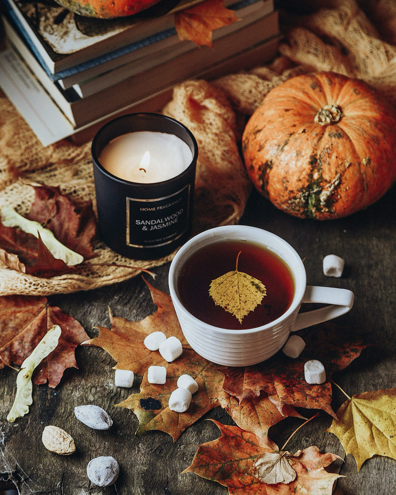 The Great Fall Package