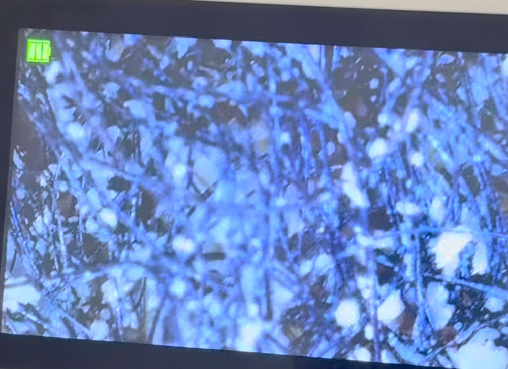 Scalp Treatment at The Soulful Place in Maple Heights, OH