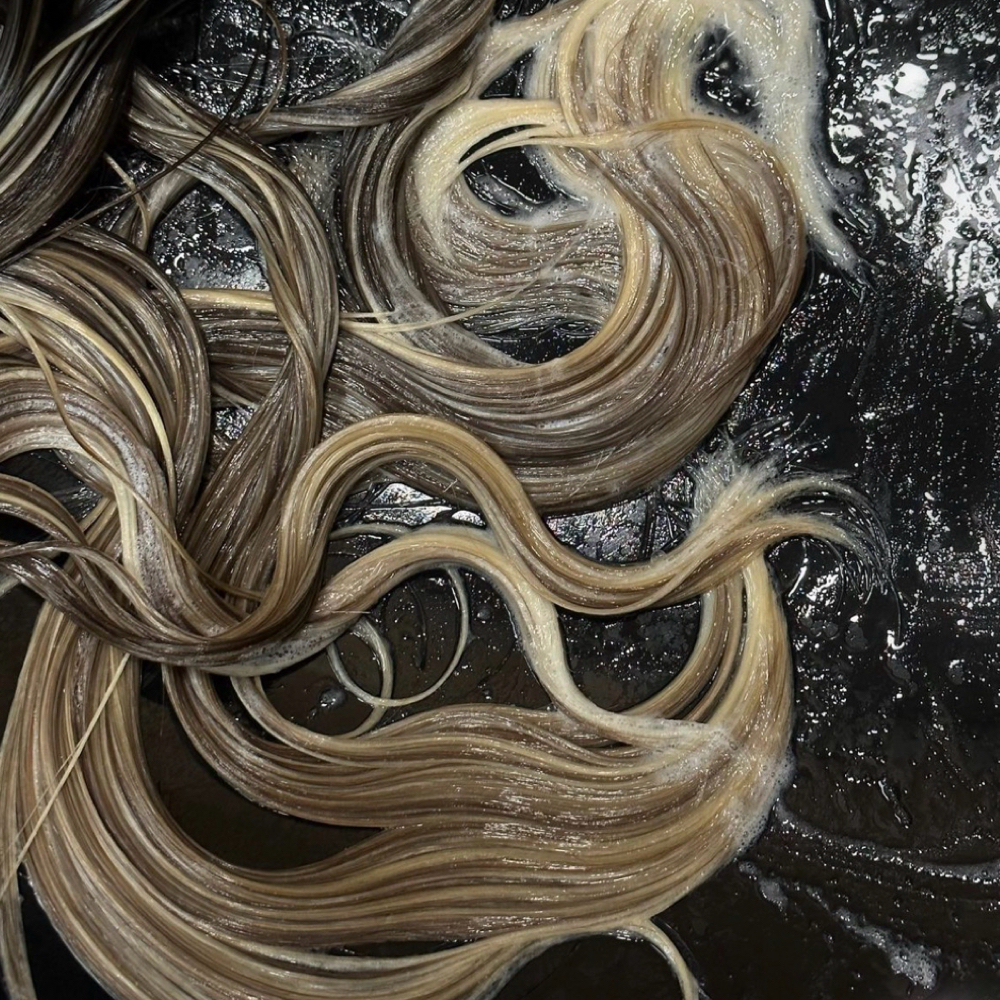 Gloss/Toner at Blondedbybrynn in San Andreas, CA