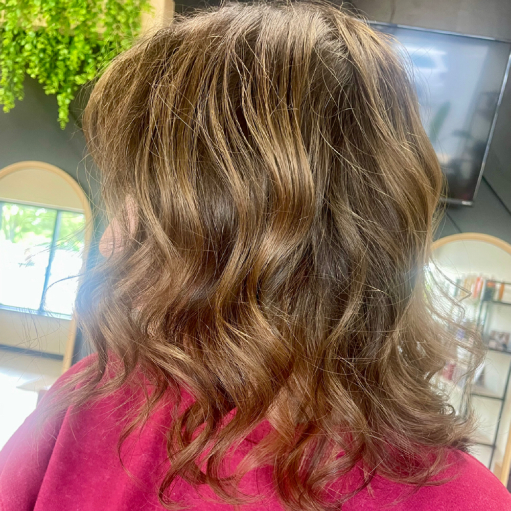 All Over Color at Lauren Melchior Hair in Lambertville, MI