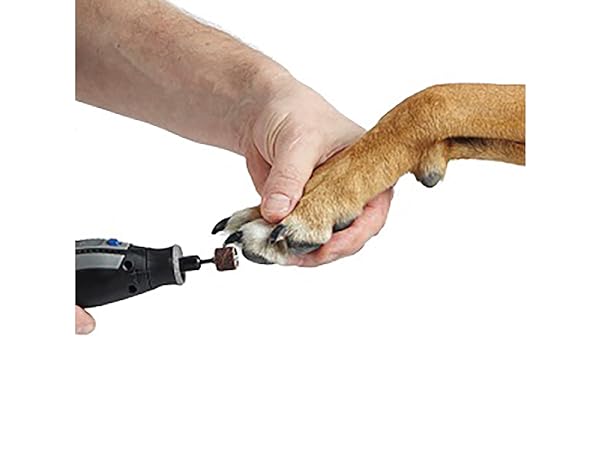 Request Dremel With Nail Trim