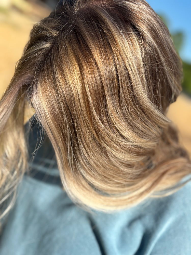 Color With Highlights at Skylar Williams in Bruce, MS