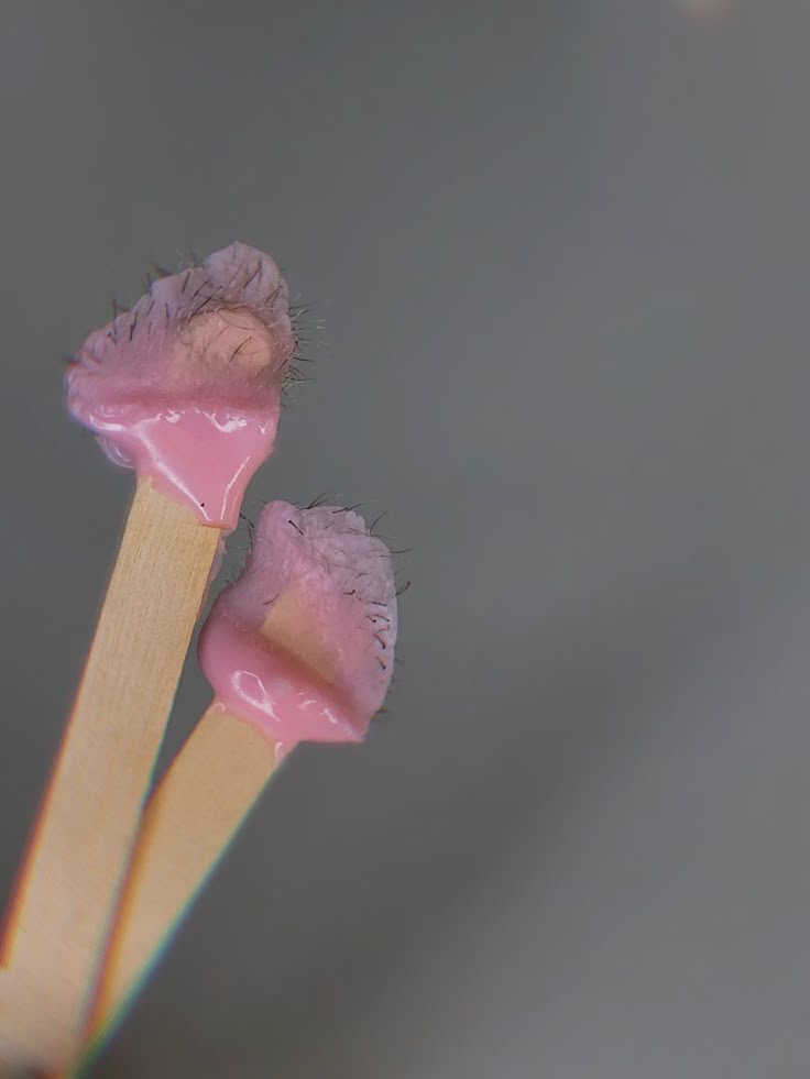 Nose Wax