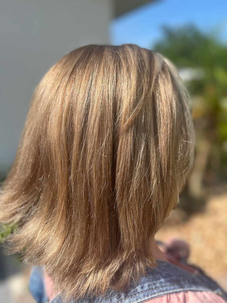 Highlights And Lowlights