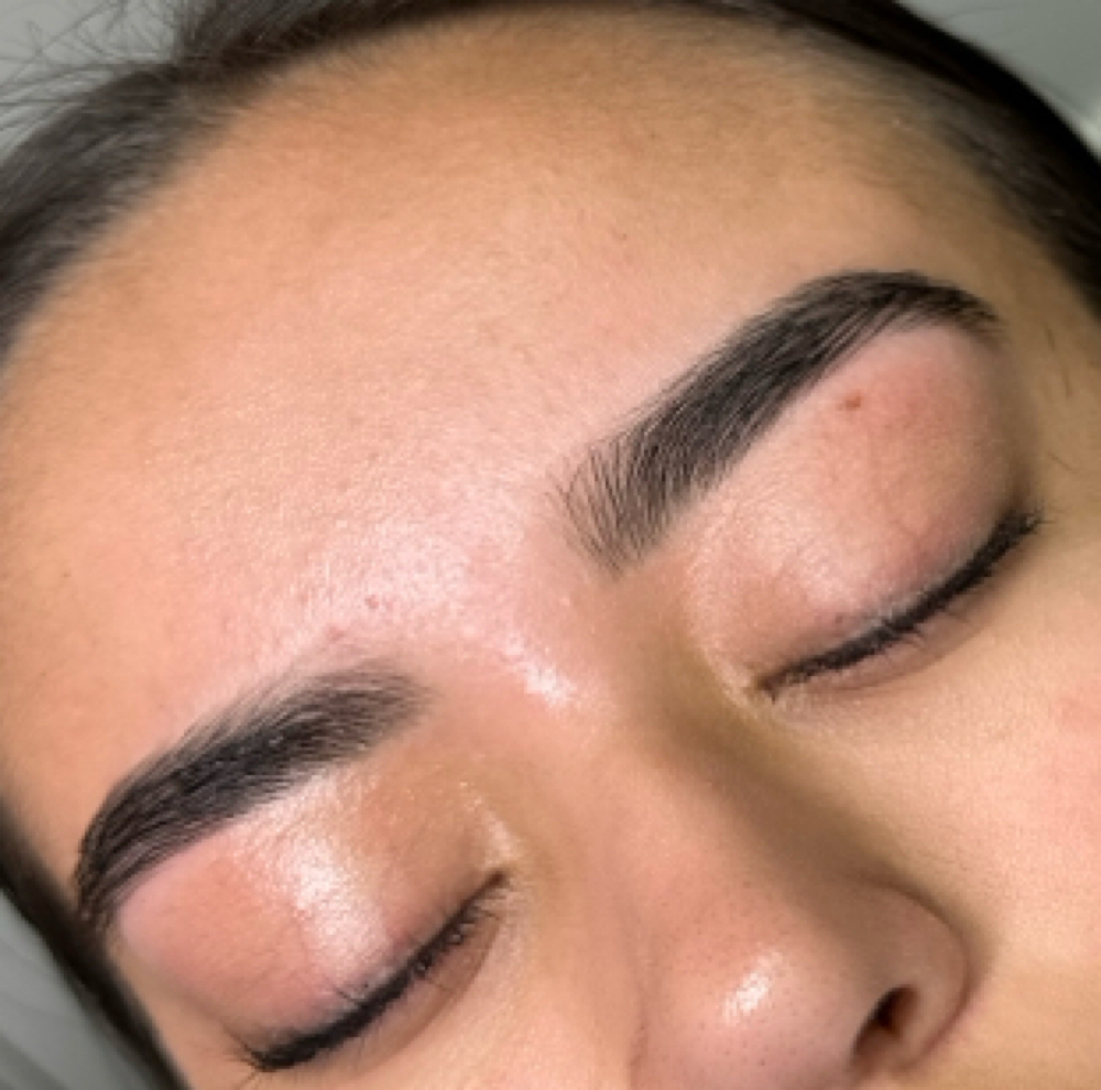 Brow Wax (shaping/map)And Lip Combo at Beauty By Emily in Edinburg, TX