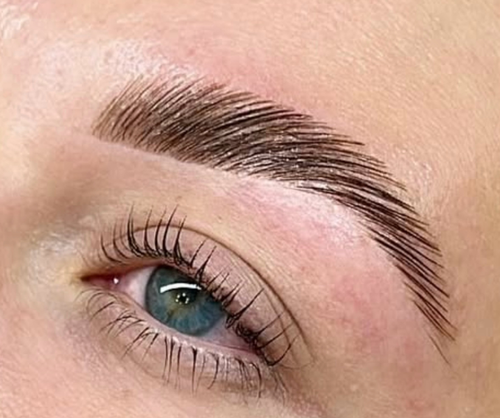 Signiture Brow Sculpt