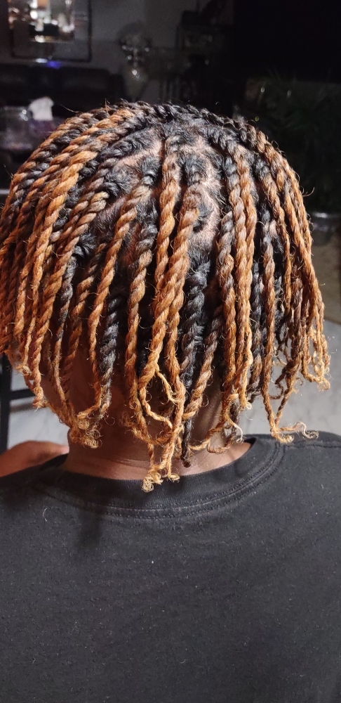 Two Strand Twist