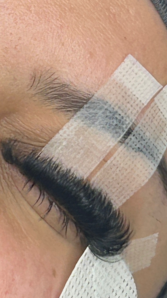Bottom Lashes