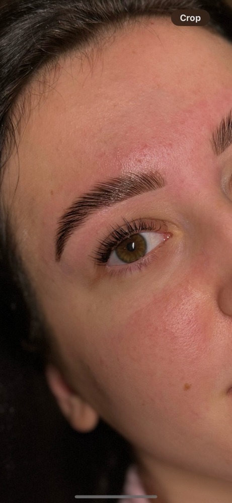 Brow & Lash Package!