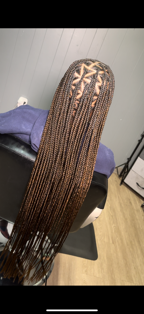 Extra Long Braids / Twist