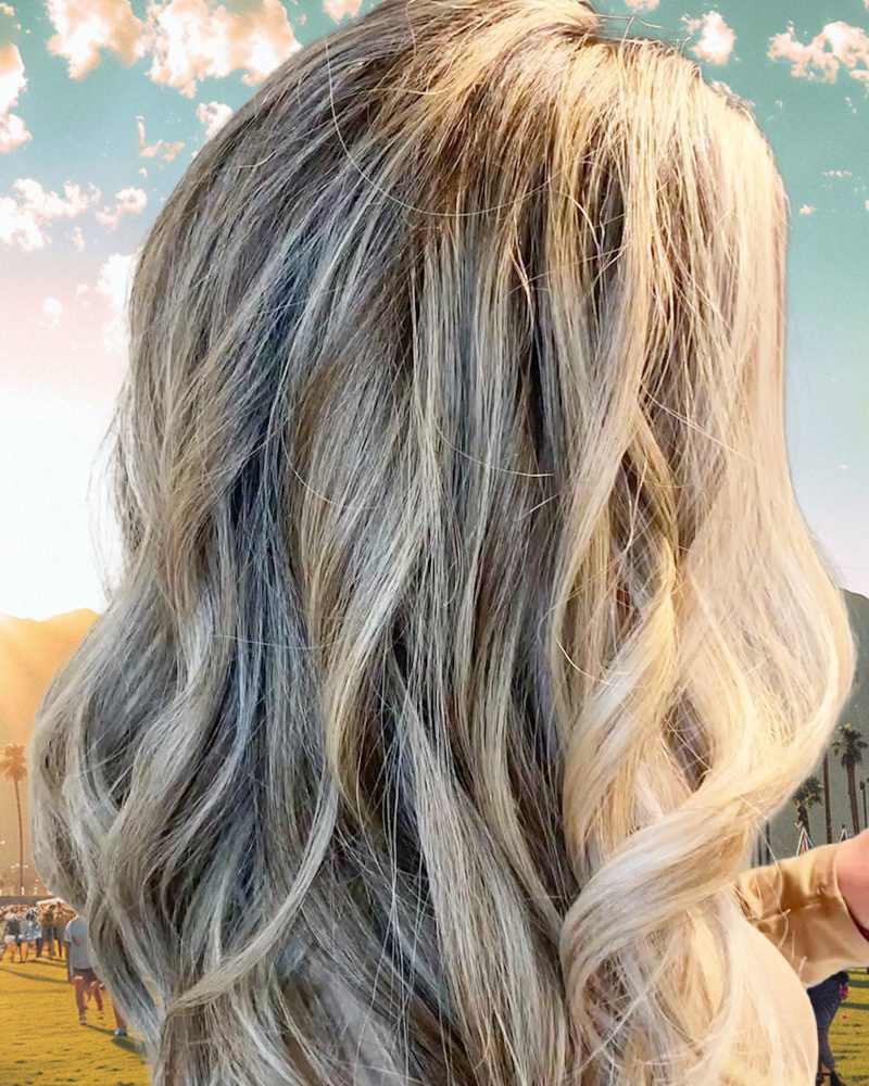 Full Highlight