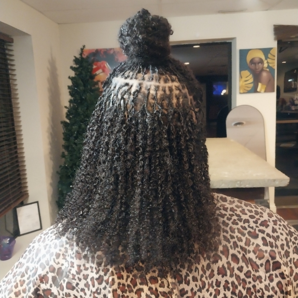 MicroLocs Extension Twist/braids at Heavenly Creationz @The Ivory Coast in Gallatin, TN