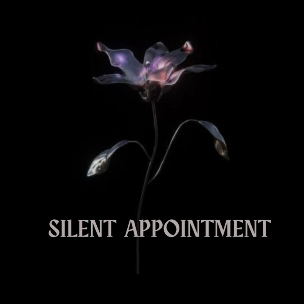 SILENT APPOINTMENT at STARDROPHAIR in Vancouver, WA