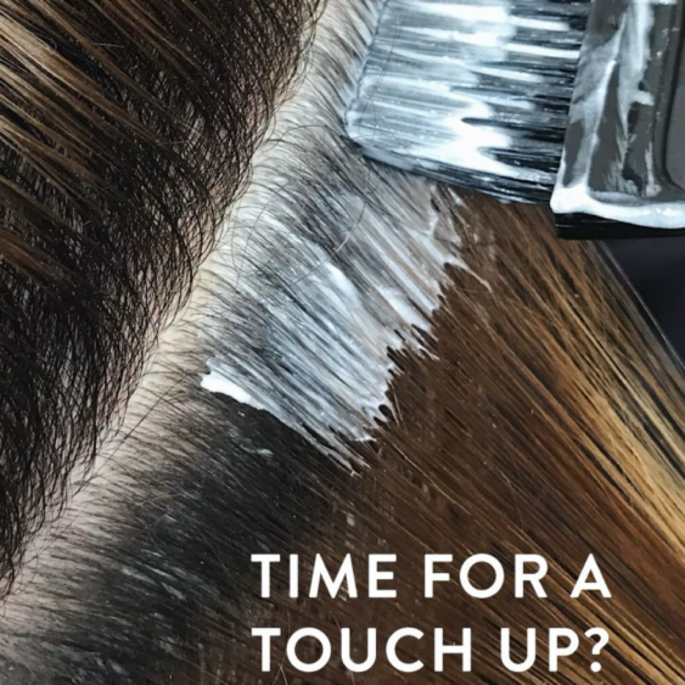 Color Touch Up & Style Only at Creative Cuts in Killeen, TX