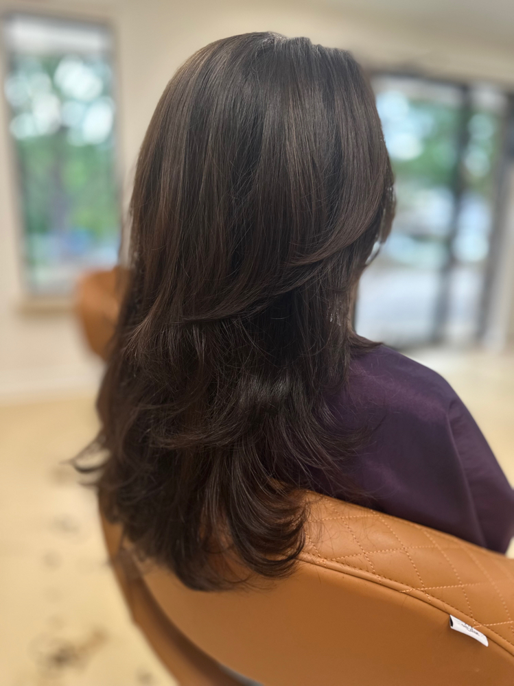 Haircut & Blowdry at Palace Hair Studio in Fayetteville, AR