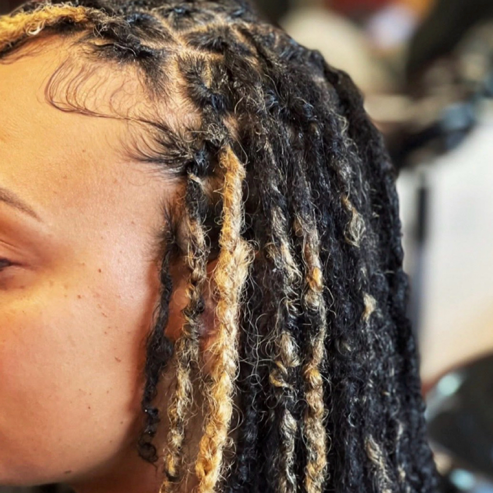 Adult Interlock/Crochet Loc Roots at The Loc Shop LLC in Mishawaka, IN