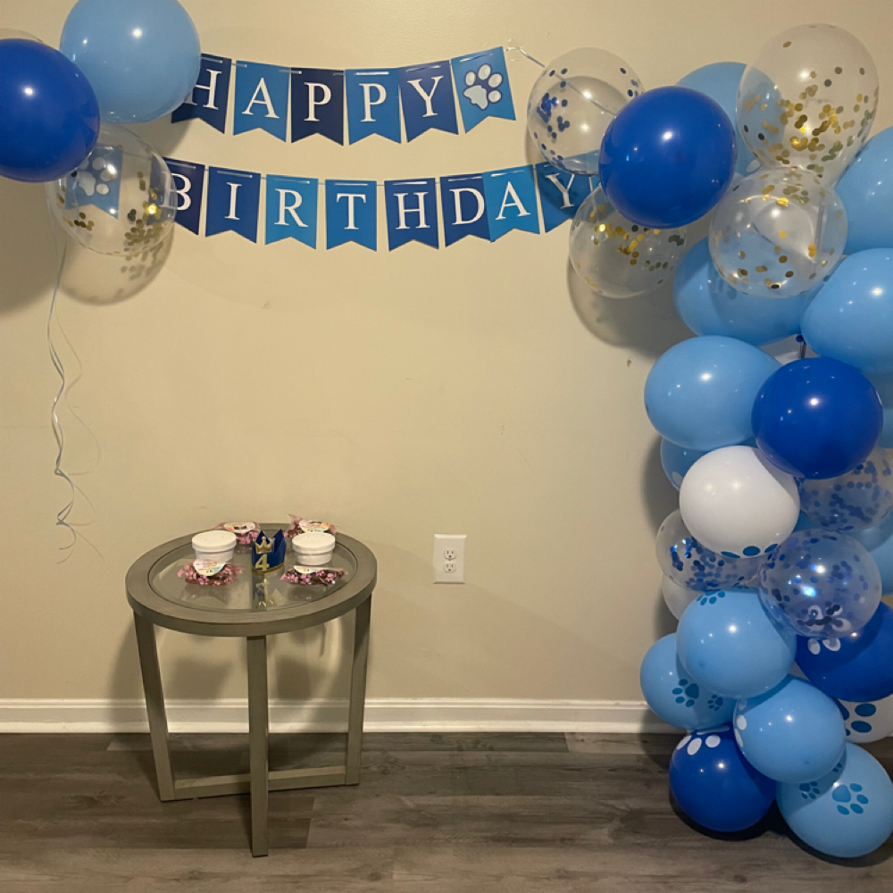 Doggy Birthday Party at Paws and Pubs Patrol in Baltimore, MD