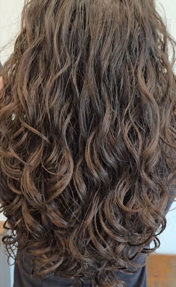 Loyal Guest Organic Curly Cut & Dry