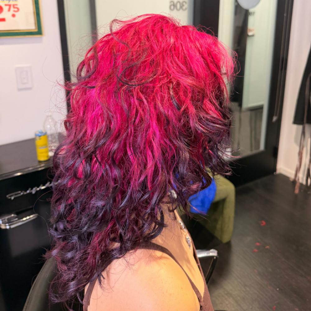 Vivid Refresh at Cuts By Cookie in Glendale, CA