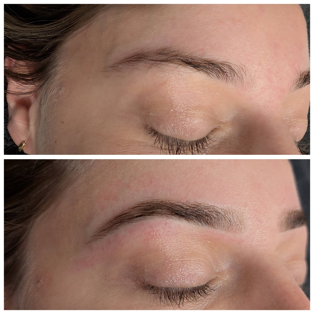 Brow Wax and Tint