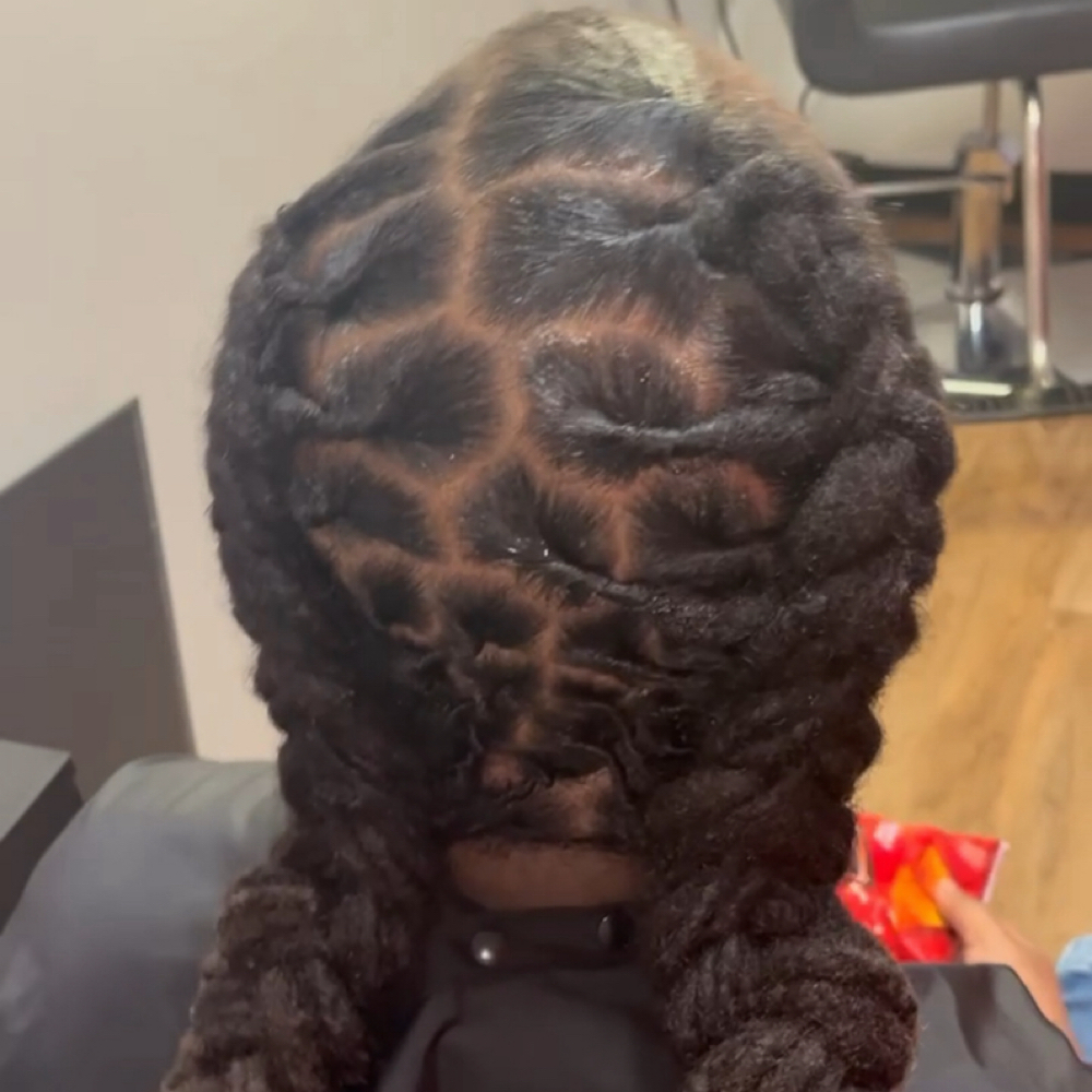 Large Retwist And Style at Nikki The Stylist in Elk Grove, CA