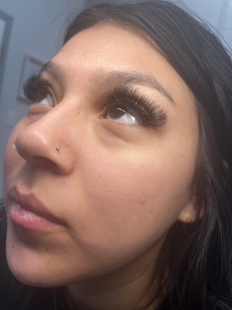 Volume Lashes