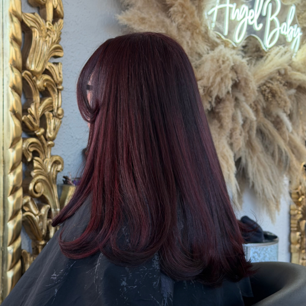 All Over Color at D’Matrixx By Irene in Milwaukee, WI