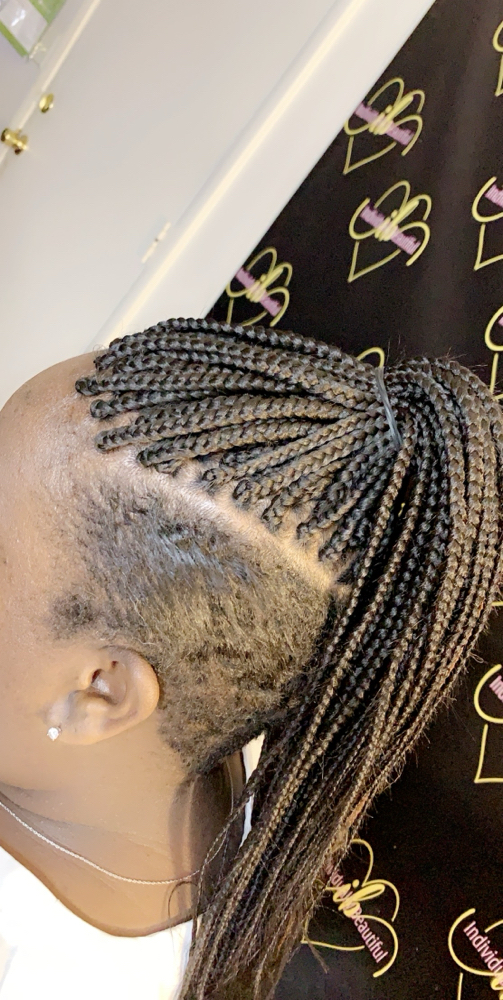 Small Box Braids