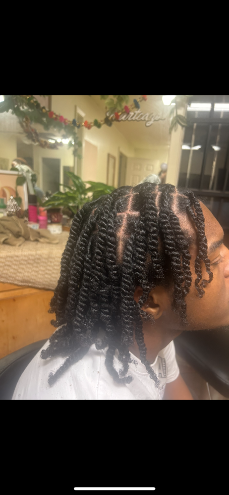 Starter Locs